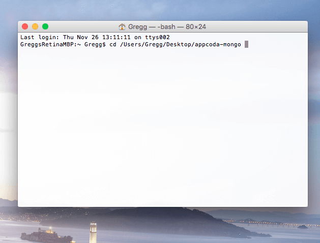 Terminal on Mac