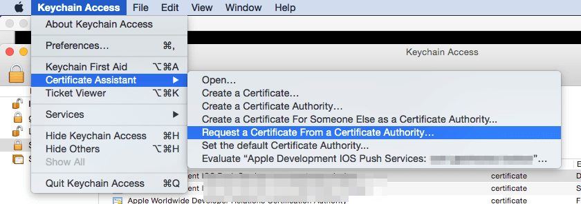 t48_1_certificate_assistant_menu
