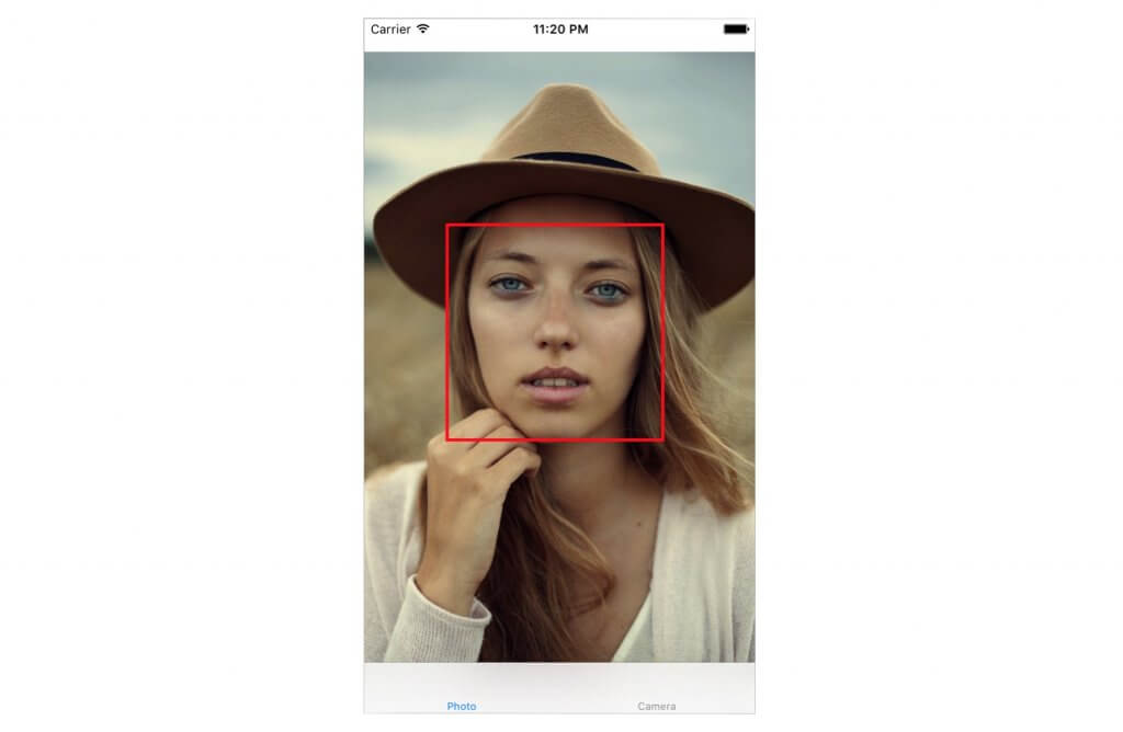 face-detection-result