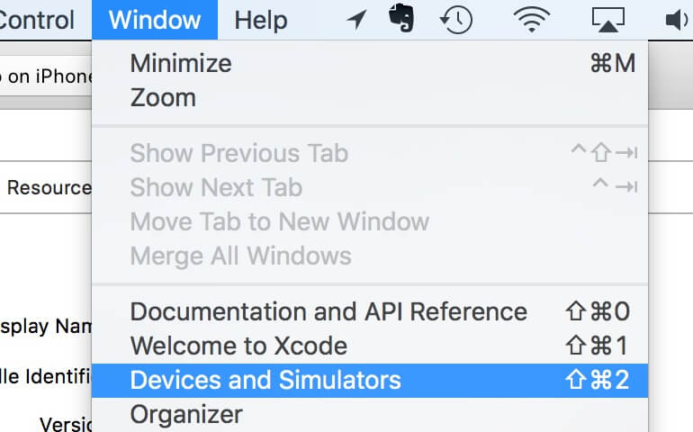 Device and Simulator Option