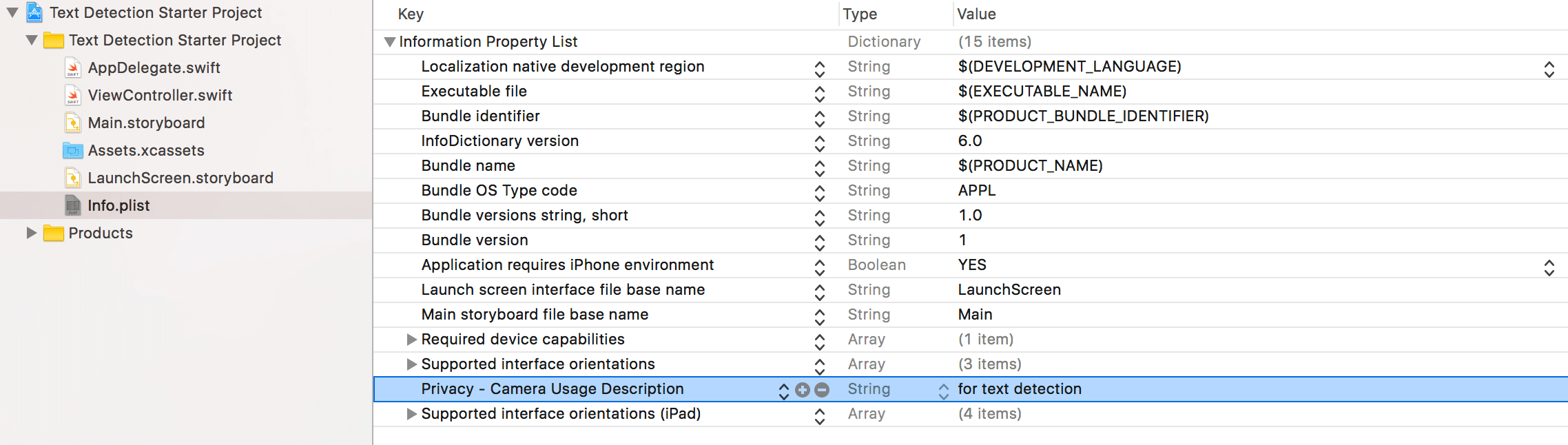 text-detection-infoplist