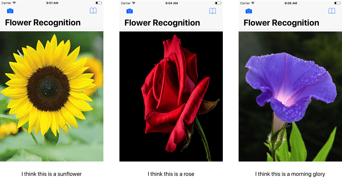 flower-recognition-app-demo
