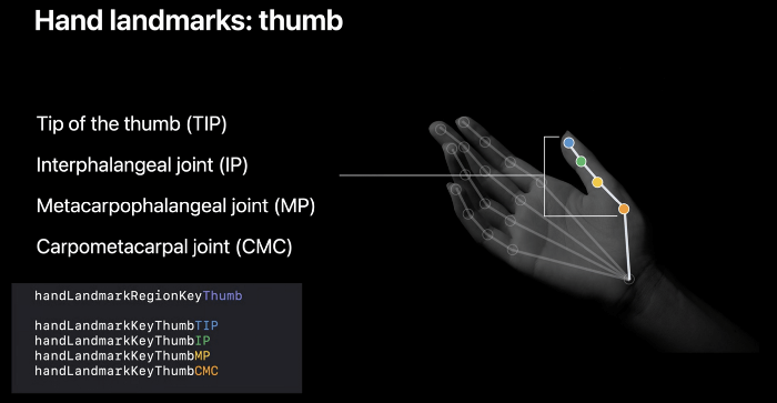 hand-landmarks