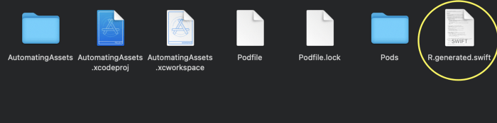 利用 R.swift 在 iOS App 自動化 Asset Management