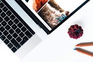 簡單解決 Xcode 11.3 的 Bug:無法把間距約束設為零?