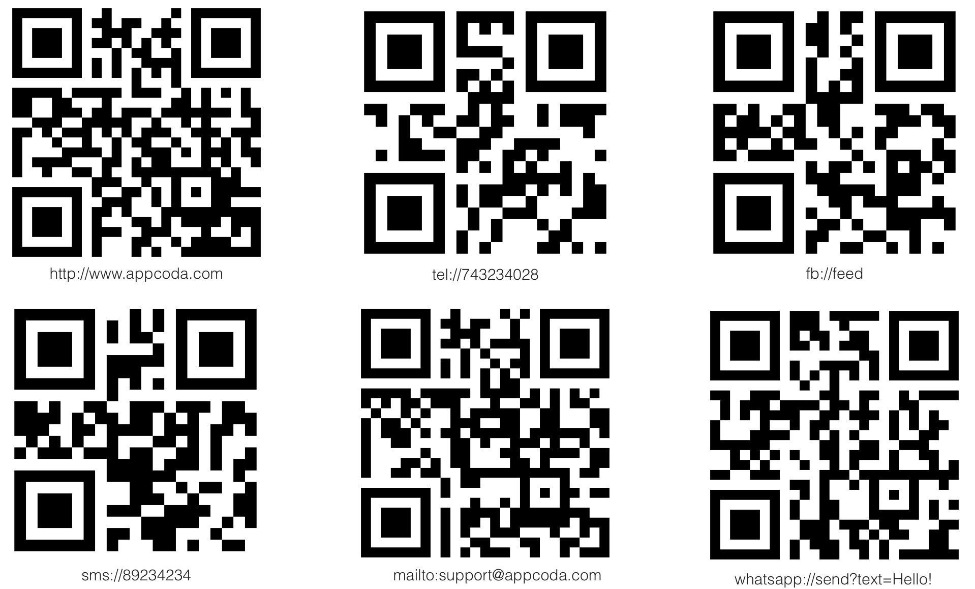 圖 12.1. QR code 範例